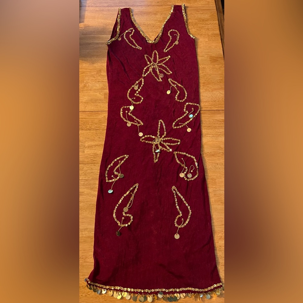 Gorgeous Middle Eastern Belly Dance Beledi Dress Costume Performance Dance EUC